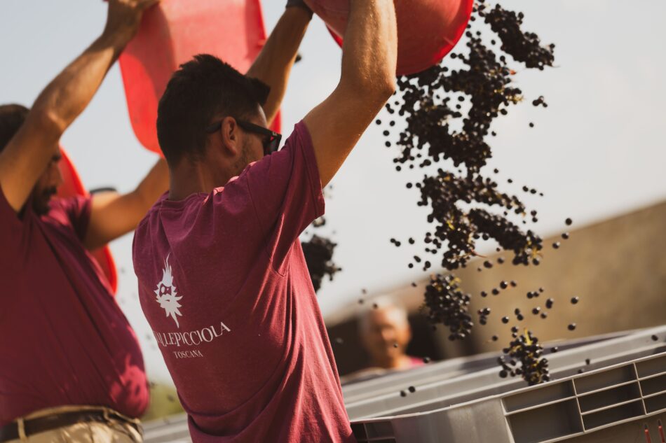 Cantina Vallepiccola, un gioiello nel cuore del Chianti - Sapori News 