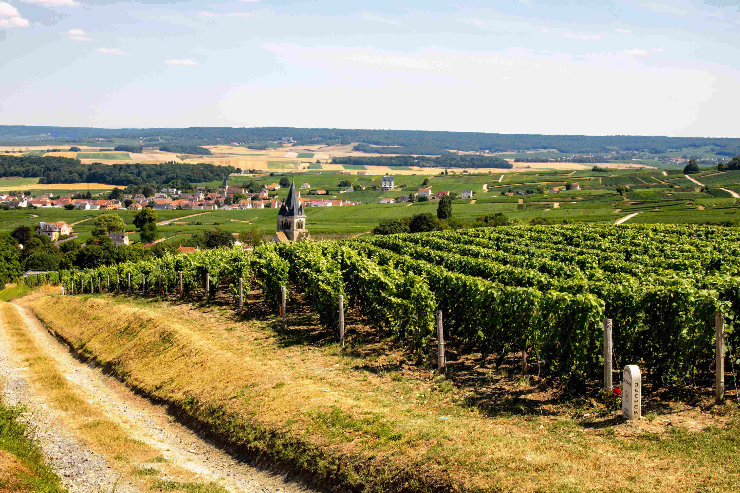 Champagne Day, per celebrare il successo del mercato delle bollicine francesi - Sapori News Il Magazine Dedicato al Mondo del Food a 360 Gradi
