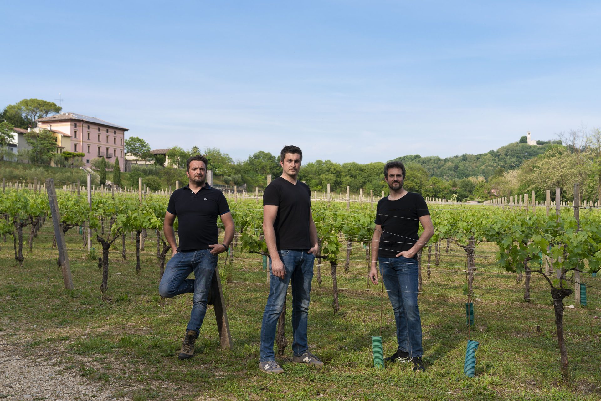 Butussi, azienda vitivinicola biologica dei Colli Orientali Friulani