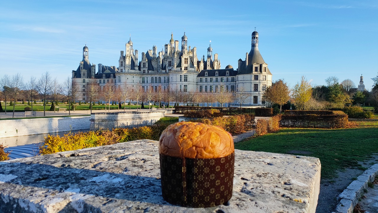 Panettone on the road: da San Paolo a Tokyo, passando per l'Australia - Sapori News 