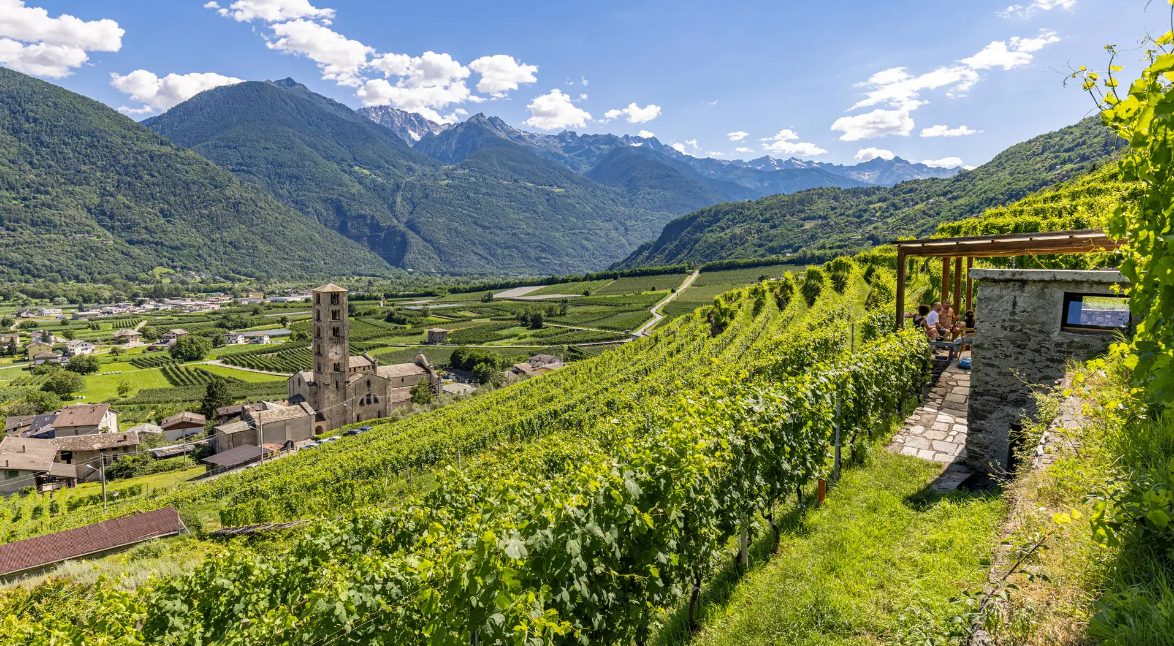 Esplorando la Valtellina tra vini e paesaggi - Sapori News 