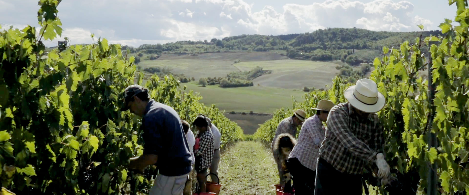 Scoprire la Toscana enologica con Fattoria della Talosa - Sapori News 