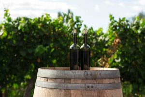 Degustazioni vini Italia, 5 destinazioni imperdibili