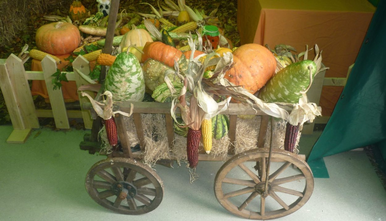 Delizie d’Autunno: in scena i prodotti genuini e sani della Marca Trevigiana