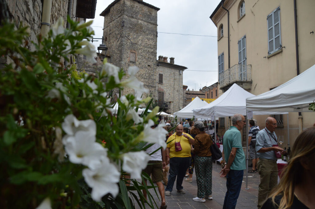 Valtidone Wine Fest: a settembre la 15esima edizione - Sapori News 