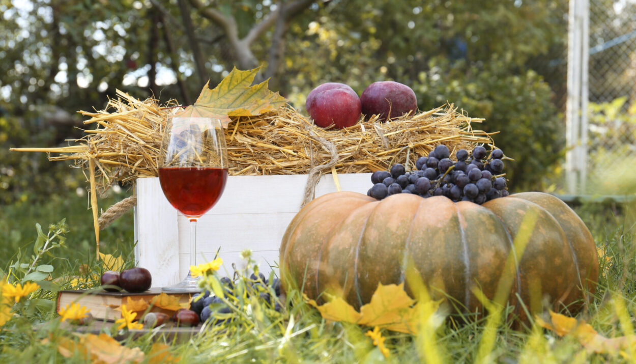 Brunch autunnale