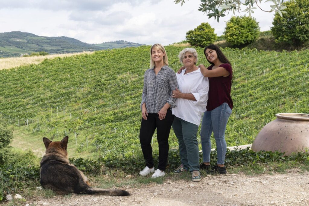Camarani-Wine : tradizione e qualità nella produzione vinicola - Sapori News 