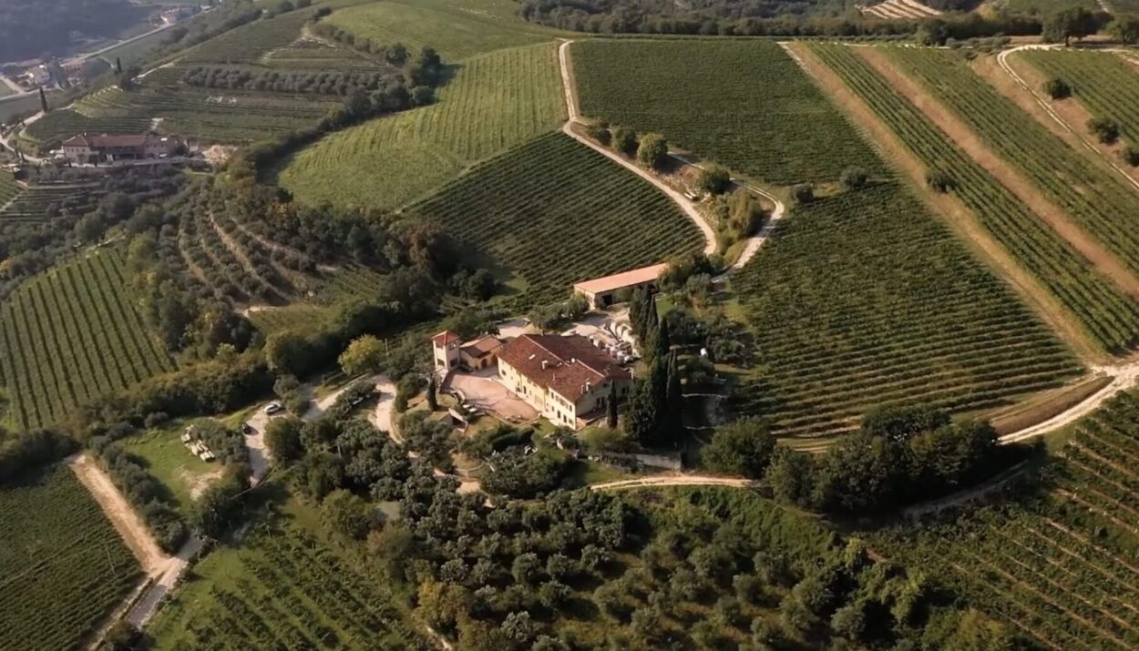 Camarani-Wine : tradizione e qualità