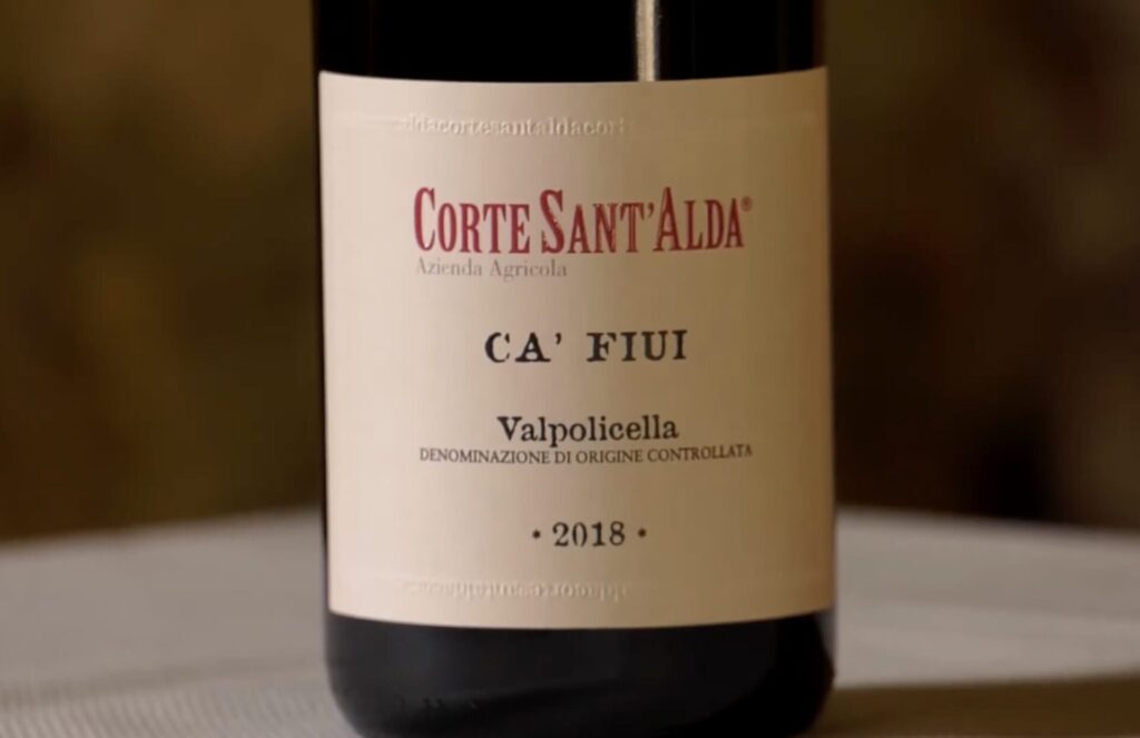 Camarani-Wine : tradizione e qualità nella produzione vinicola - Sapori News 