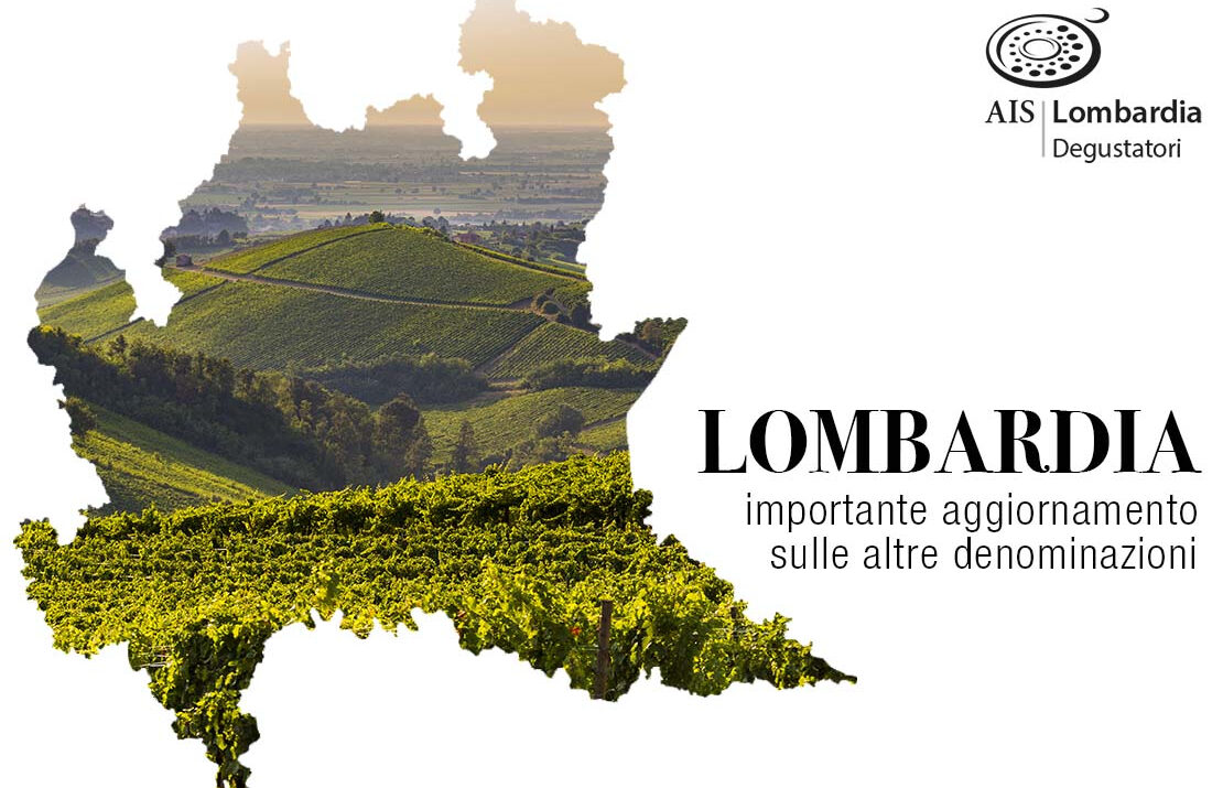AIS Lombardia presenta la Guida ViniPlus 2025