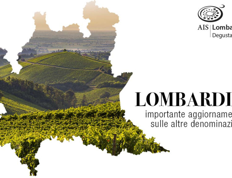 AIS Lombardia presenta la Guida ViniPlus 2025