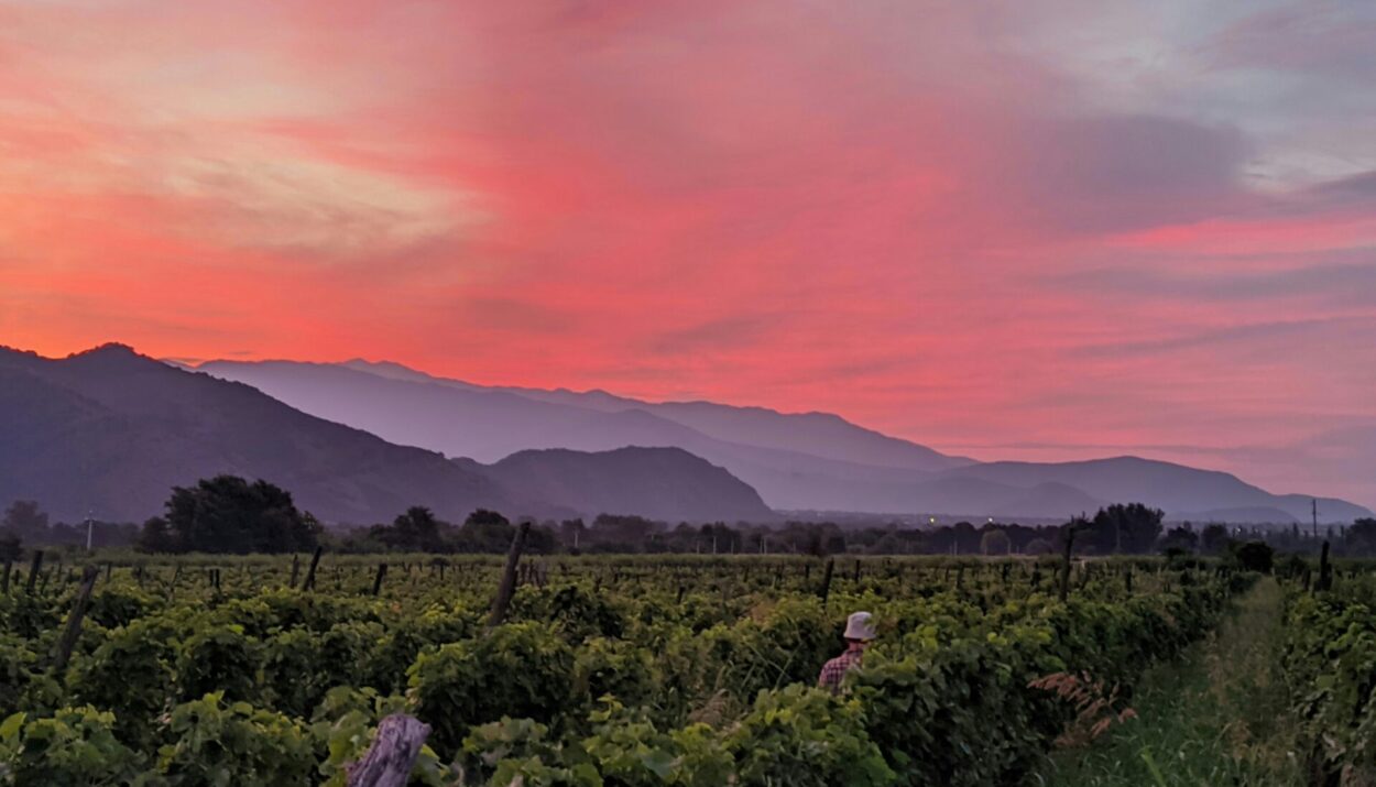 Evaneos: esperienze eno-gastronomiche in viaggio