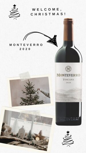 Regali da bere per un Natale 2024 di...vino - Sapori News 
