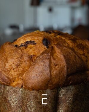 Tutta la magia di Natale 2024 nei panettoni artigianali - Sapori News 