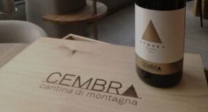 Cembra Zymbra 2020 Vigneti delle Dolomiti IGT: l'eleganza dei vini di montagna