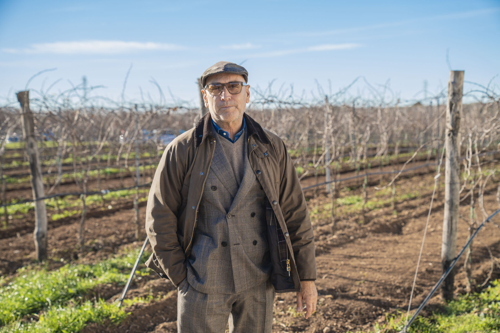 Menhir Marangelli: nuova identità, stessa passione per il vino - Sapori News 