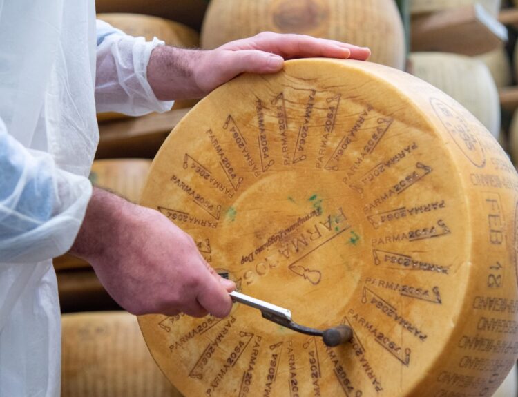 Parma2064 apre per Caseifici Aperti: tour, degustazioni e show-cooking. Scopri i segreti del Parmigiano Reggiano, prenota subito!