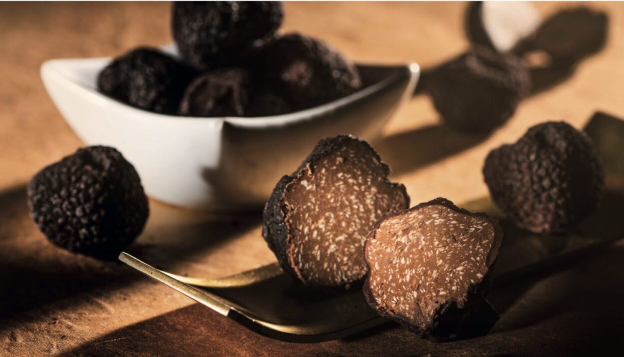 Tartufo Regale