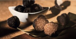 Tartufo Regale