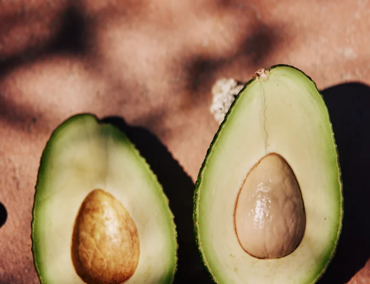 Halaesa lancia il primo avocado bio made in Italy: sostenibile, fresco e coltivato in Sicilia. Un superfood etico e rivoluzionario