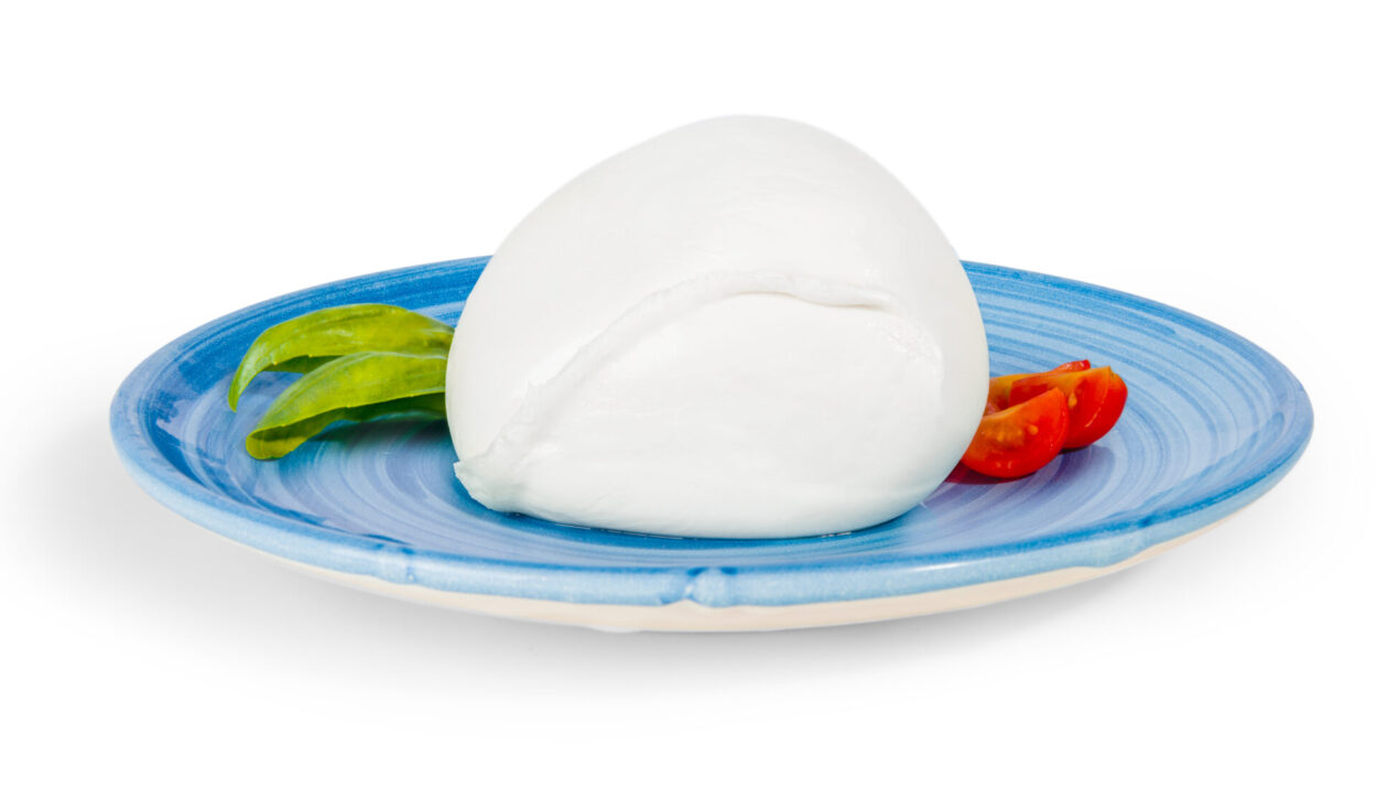 Il 68% la consuma nel modo sbagliato: scopri come esaltare davvero la Mozzarella di Bufala DOP e goderti il suo gusto autentico.