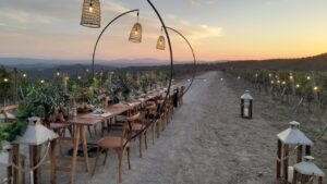 Cena tra le vigne e sotto il cielo toscano di Rosewood Castiglion del Bosco con vino, stelle e gusto toscano, solo nelle notti di luna piena