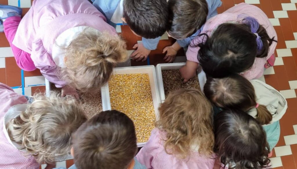 Formaggio Roccaverano DOP: un viaggio tra le stagioni per educare i più piccoli - Sapori News 
