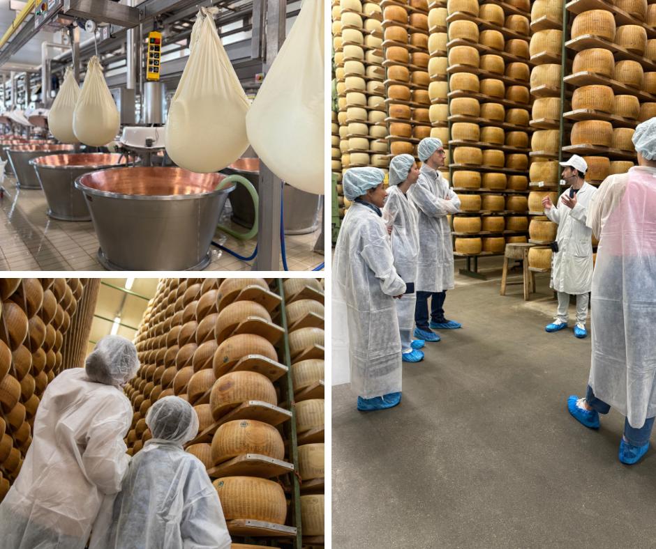 Come nasce il Parmigiano Reggiano? Scoprilo al caseificio Parma2064 - Sapori News 