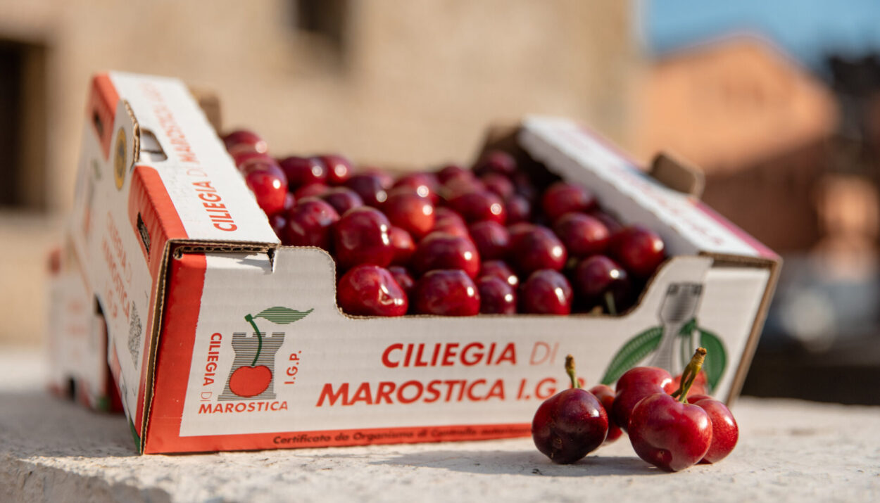 La Ciliegia di Marostica IGP celebra 25 anni con qualità eccellente e produzione in crescita. Scopri la festa e tutte le novità 2025!