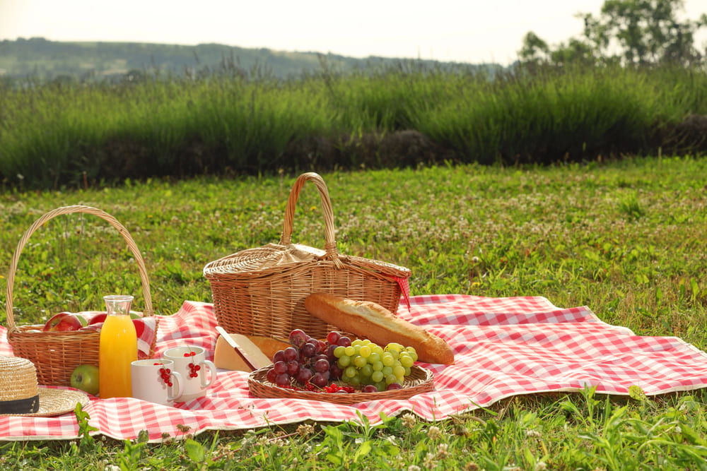 Cesta picnic bio Carrefour con prodotti sostenibili e gustosi per un'estate all'aperto più consapevole e ricca di gusto.
