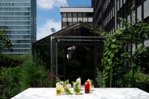 Scopri The Botanical Hour: mojito sostenibili a Milano nell’aperitivo botanico firmato Hilton. Un’esperienza unica e stagionale