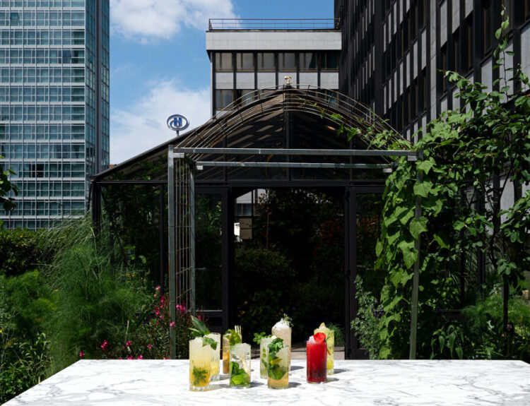 Scopri The Botanical Hour: mojito sostenibili a Milano nell’aperitivo botanico firmato Hilton. Un’esperienza unica e stagionale