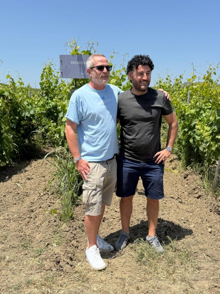 Cantine Ippolito 1845, eccellenza vinicola della Calabria - Sapori News 