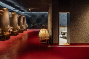 Eleganza, arte e vino si incontrano nella nuova cantina Appius in Alto Adige. Un’esperienza unica per veri intenditori.