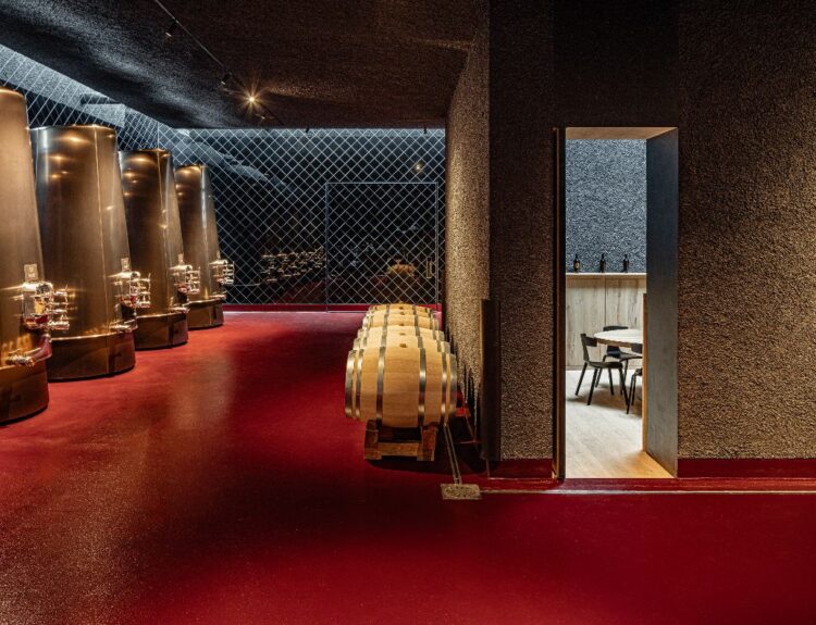 Eleganza, arte e vino si incontrano nella nuova cantina Appius in Alto Adige. Un’esperienza unica per veri intenditori.