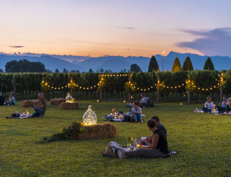 Vivi l’estate con Pic-nice: picnic gourmet in Friuli Venezia Giulia tra sapori locali e paesaggi mozzafiato. Prenota la tua esperienza!
