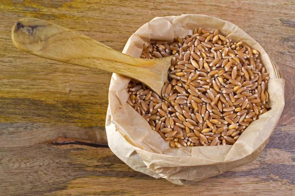 Superfood italiani 2025: alghe e cereali antichi protagonisti - Sapori News 
