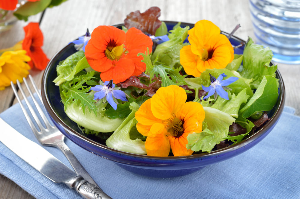 Insalate estive gourmet: idee fresche e creative da provare - Sapori News 