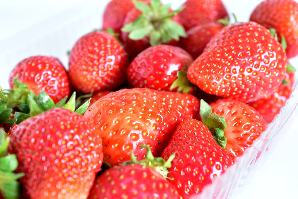 Insalate estive gourmet: idee fresche e creative da provare - Sapori News 