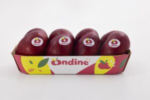 Ondine® è la nettarina piatta dell’estate 2025: dolce, croccante e tascabile. Ogni morso può portarti in vacanza!