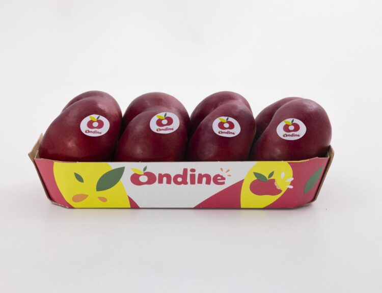 Ondine® è la nettarina piatta dell’estate 2025: dolce, croccante e tascabile. Ogni morso può portarti in vacanza!