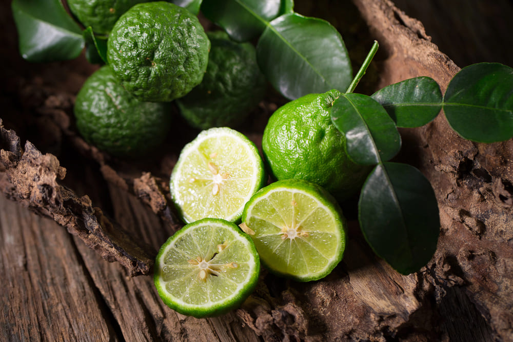 Mood food 2025: il benessere emotivo parte dalla tavola - Sapori News 