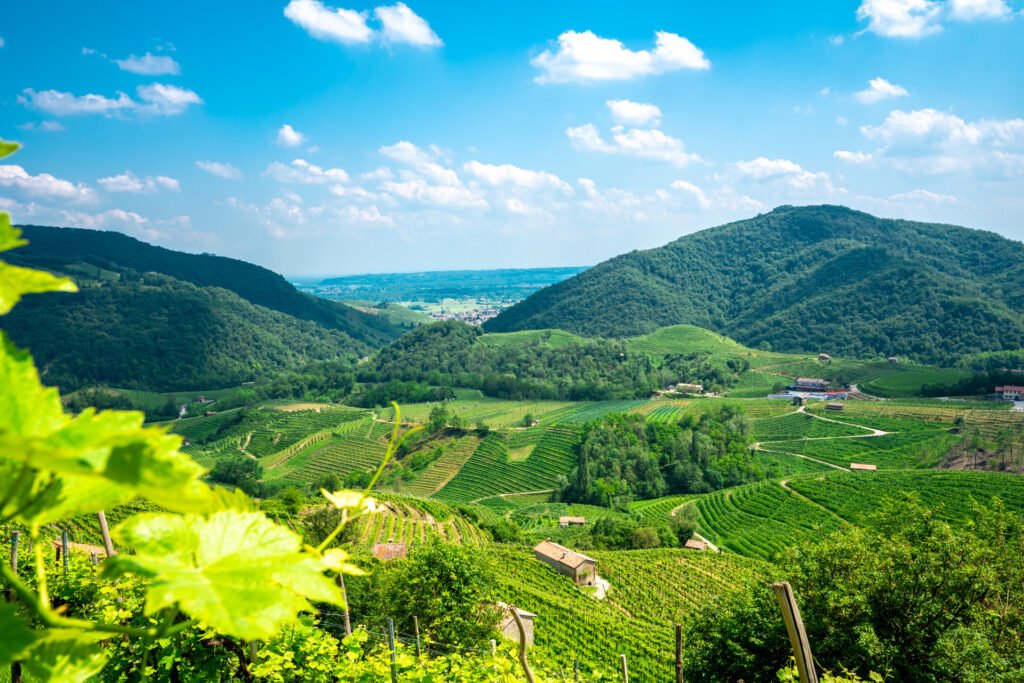 Foss Marai: spumanti d’eccellenza da Valdobbiadene - Sapori News 