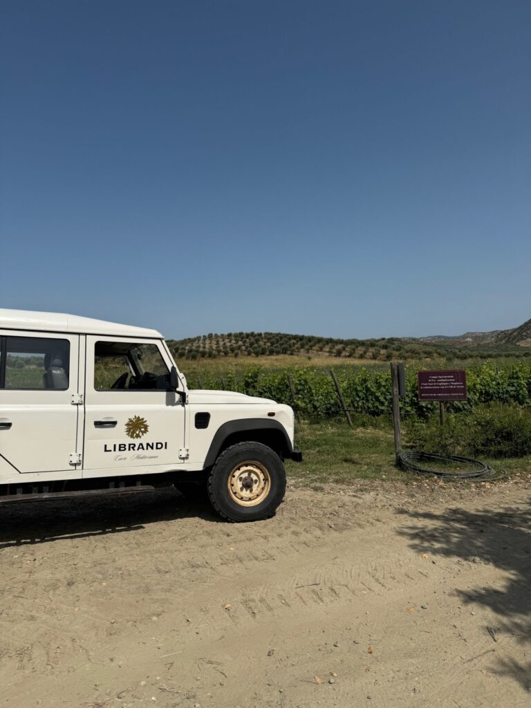 Librandi vini : storia, tenute e degustazioni dal Cirò DOC - Sapori News 