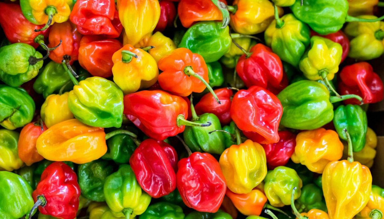 Il piccante asiatico invade l’Italia: chili oil, snack virali e salse fermentate, ecco tutte le novità spicy da gustare