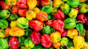 Il piccante asiatico invade l’Italia: chili oil, snack virali e salse fermentate, ecco tutte le novità spicy da gustare