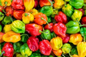 Il piccante asiatico invade l’Italia: chili oil, snack virali e salse fermentate, ecco tutte le novità spicy da gustare