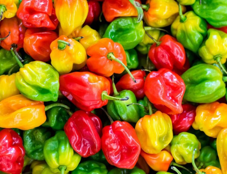 Il piccante asiatico invade l’Italia: chili oil, snack virali e salse fermentate, ecco tutte le novità spicy da gustare