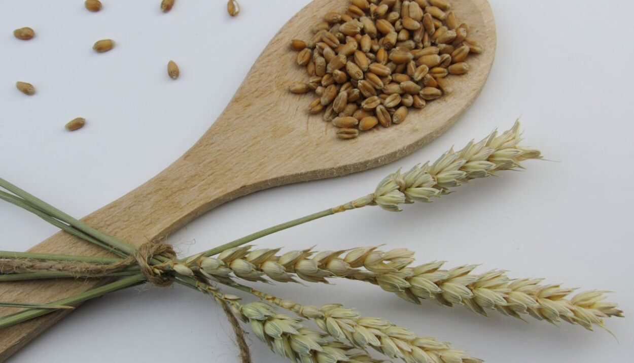 Scopri i superfood locali 2025: farro, canapa e grani antichi per una dieta sana, sostenibile e ricca di gusto. Provali ora!