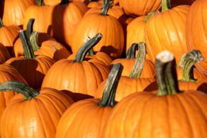 Conosci le varietà di zucca italiane e straniere e impara a usarle al meglio in cucina. Scegli la zucca giusta per ogni piatto!